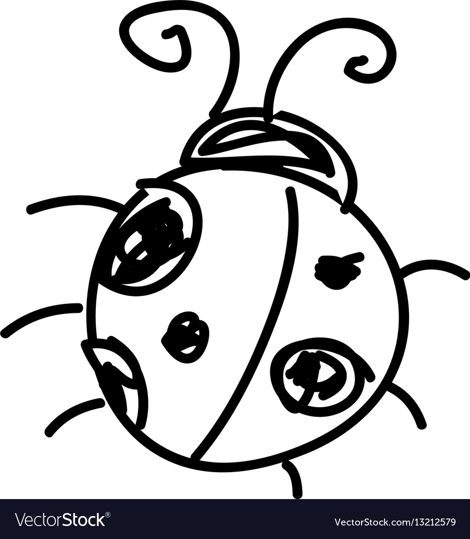 Monochrome contour with sketch ladybug insect