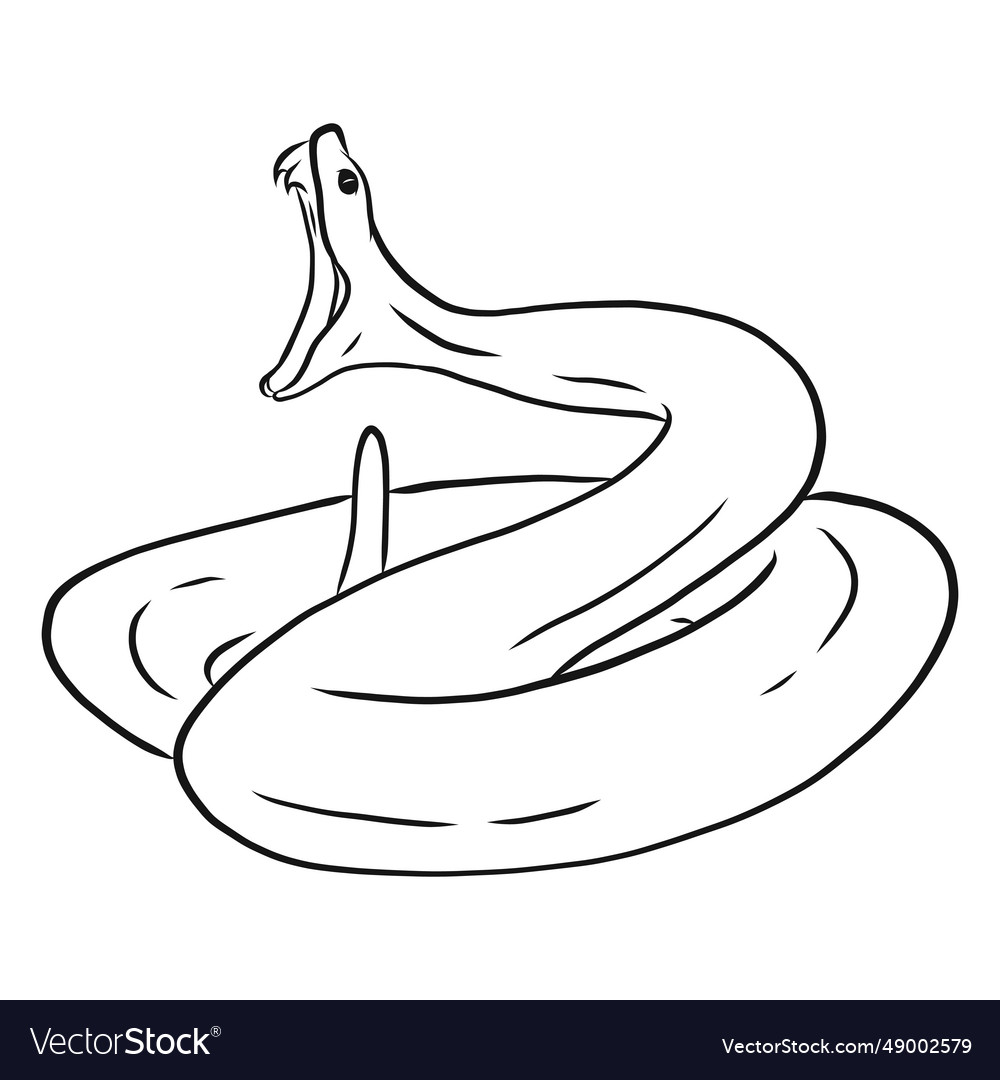 Snake mouth tooth twisting sketch Royalty Free Vector Image