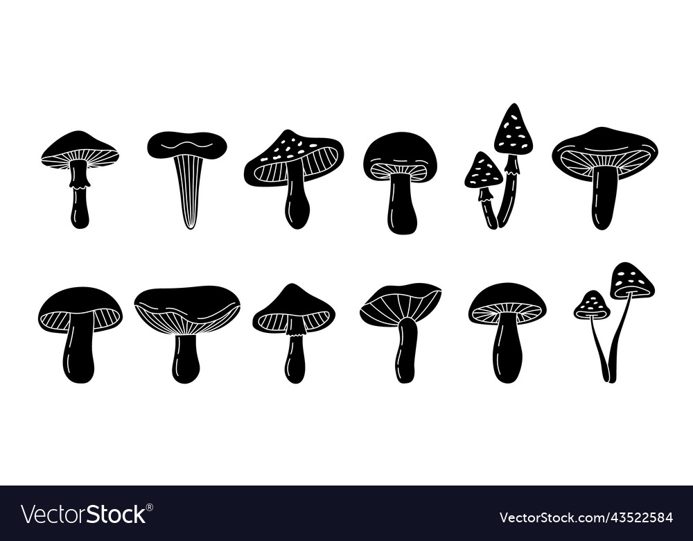 Mushroom sketch set poisonous and edible Vector Image