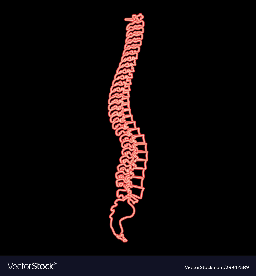 Neon spine red color flat style image