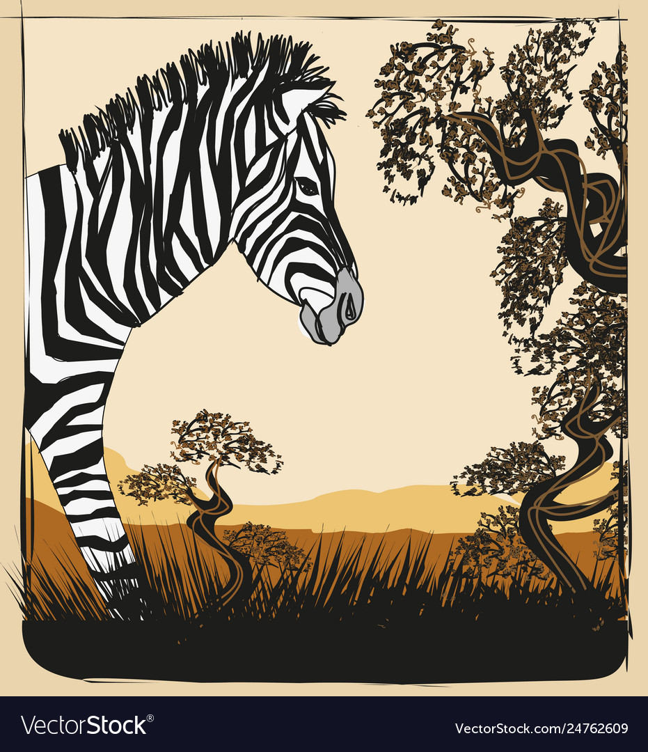 Wild africa card with zebra Royalty Free Vector Image