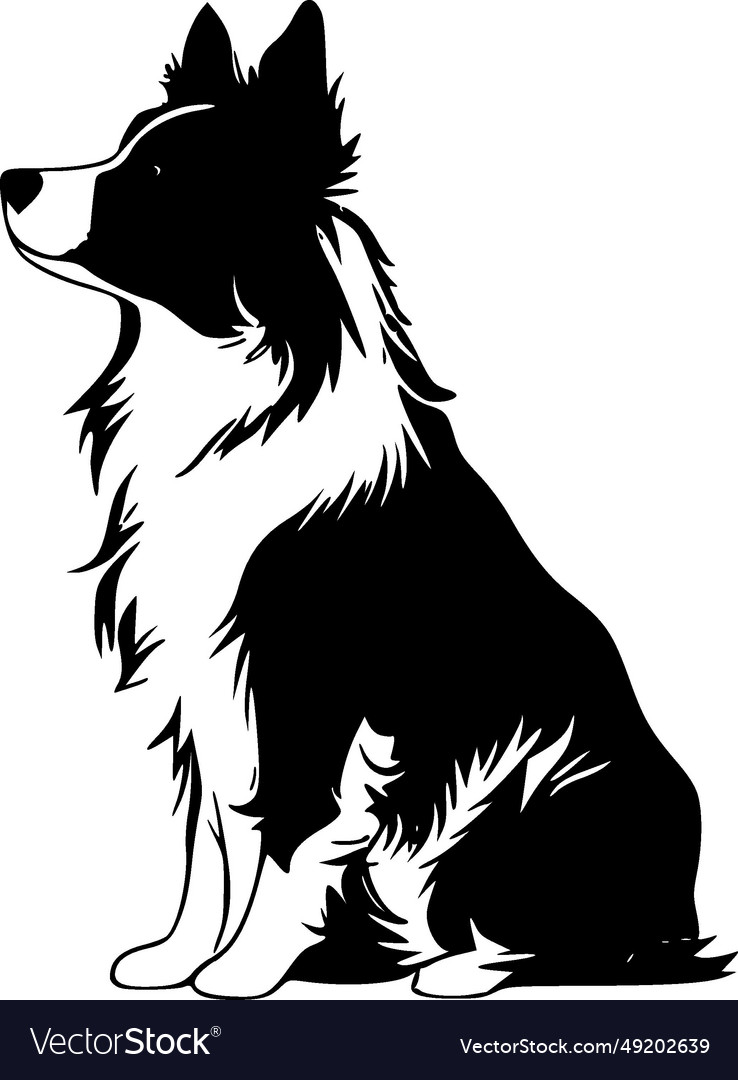 Border collie - black and white isolated icon