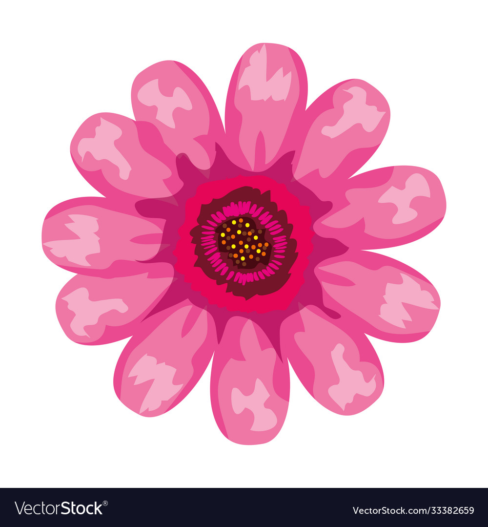 Pink flower drawing design Royalty Free Vector Image