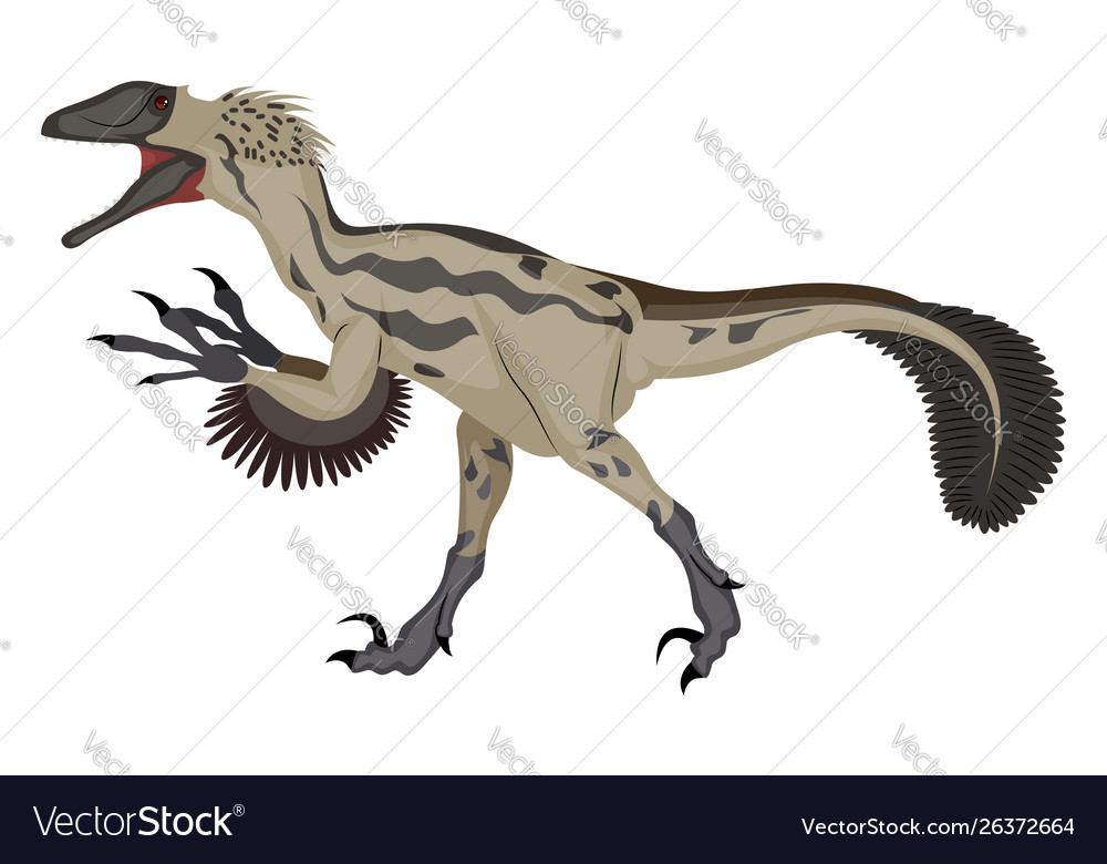 Deinonychus on white background