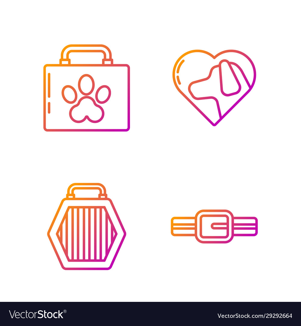 Set line collar with name tag pet carry case pet Vector Image