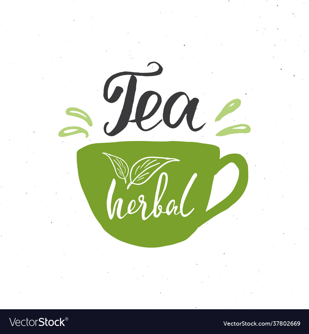 Herbal tea lettering handwritten sign hand drawn Vector Image