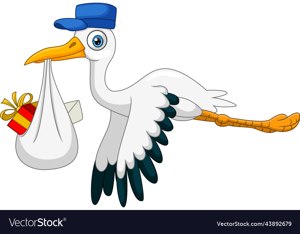 Cartoon stork carrying a gift Royalty Free Vector Image Cartoon stork carrying a gift Royalty Free Vector Image