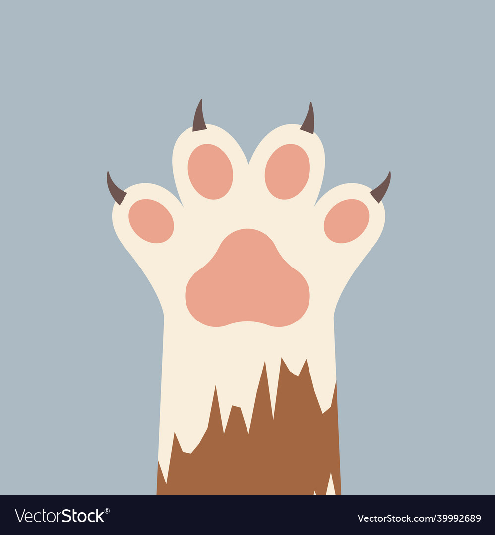 Cat or dog paw print logo icon animal