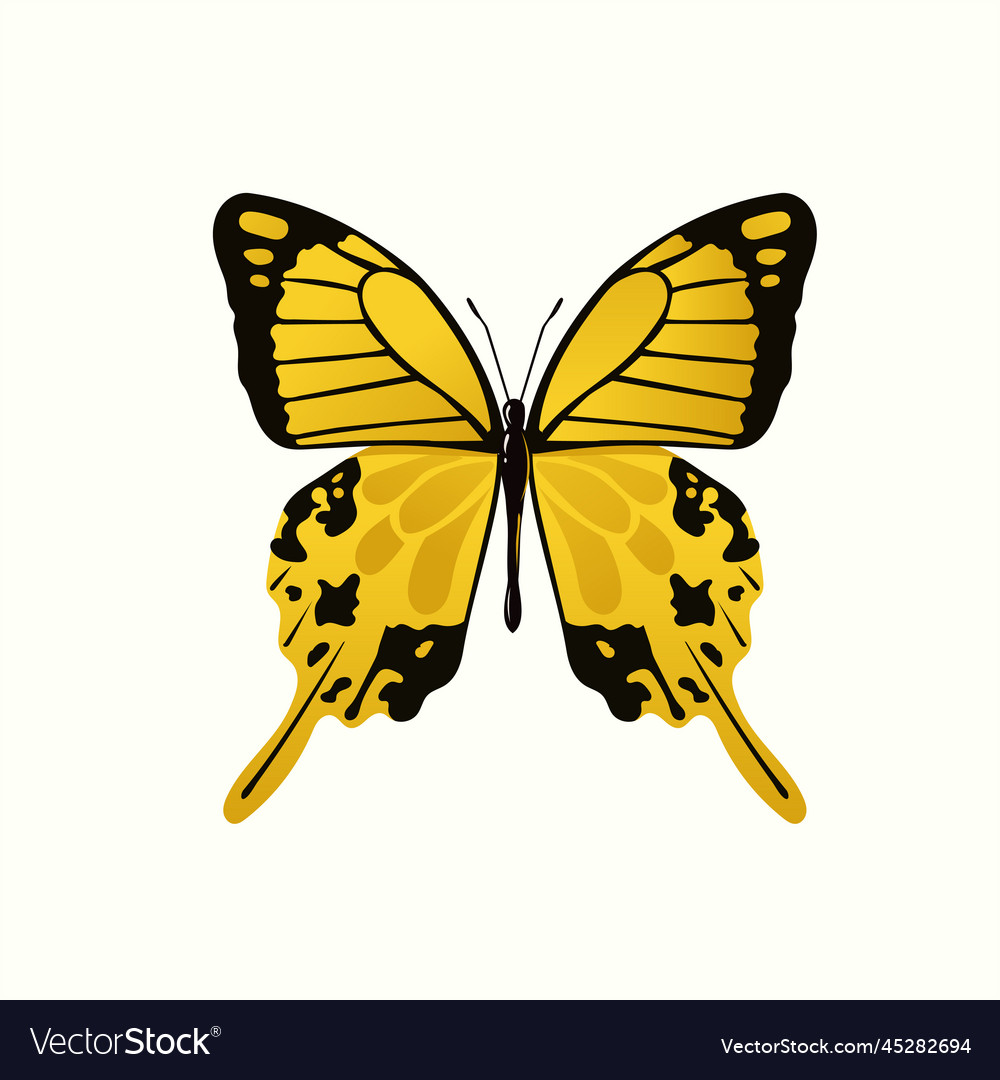 Beautiful colorful butterfly Royalty Free Vector Image