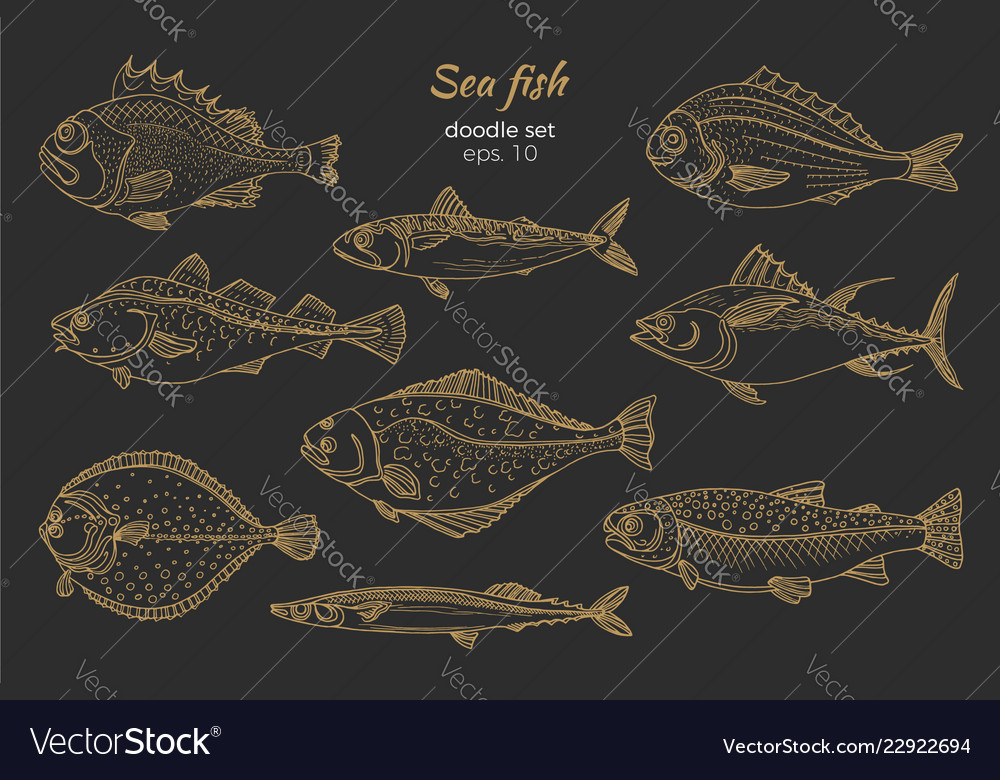 Set sea fish gold Royalty Free Vector Image - VectorStock