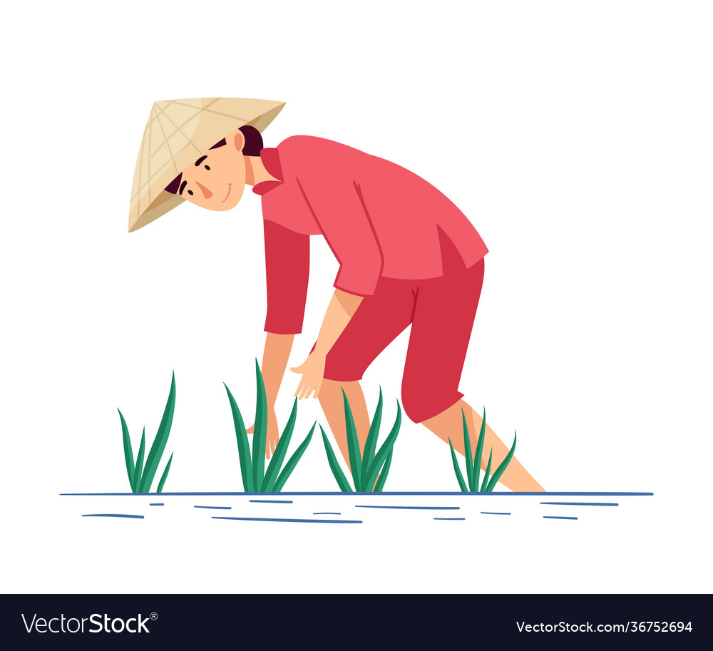 Vietnamese woman farmer in straw conical hat