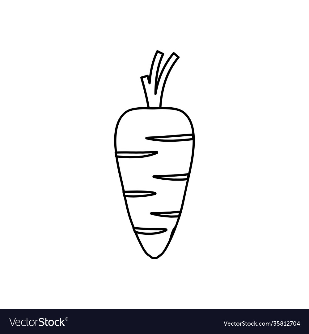 Carrot vegetable icon line style Royalty Free Vector Image