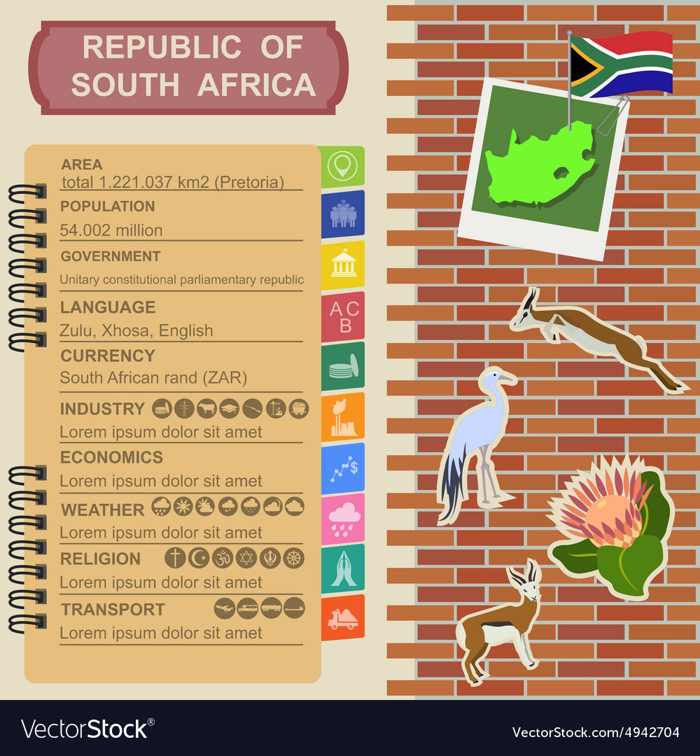 South africa infographics statistical data sights