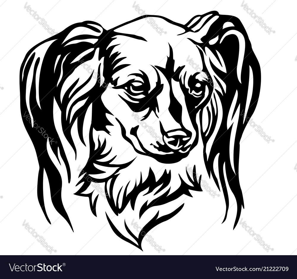 Decorative portrait of dog long haired russian