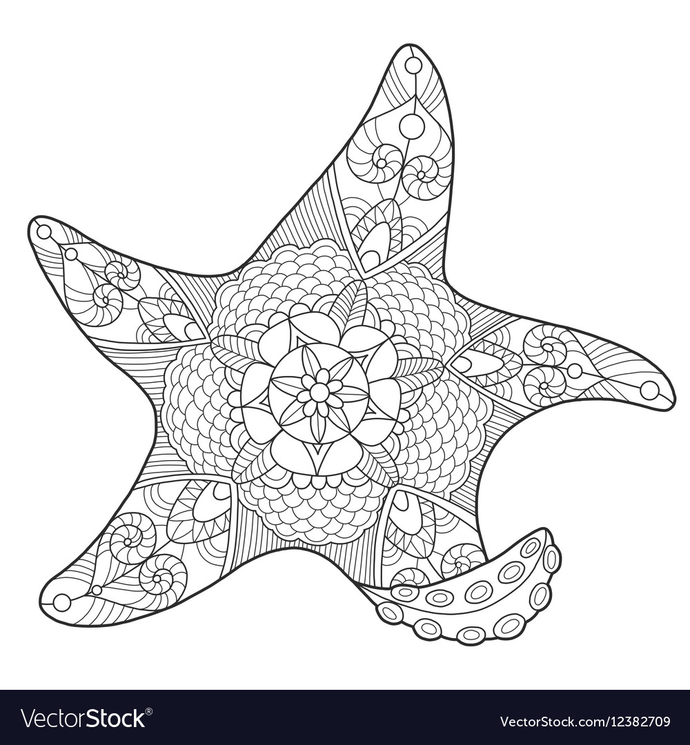 Starfish coloring book for adults Royalty Free Vector Image