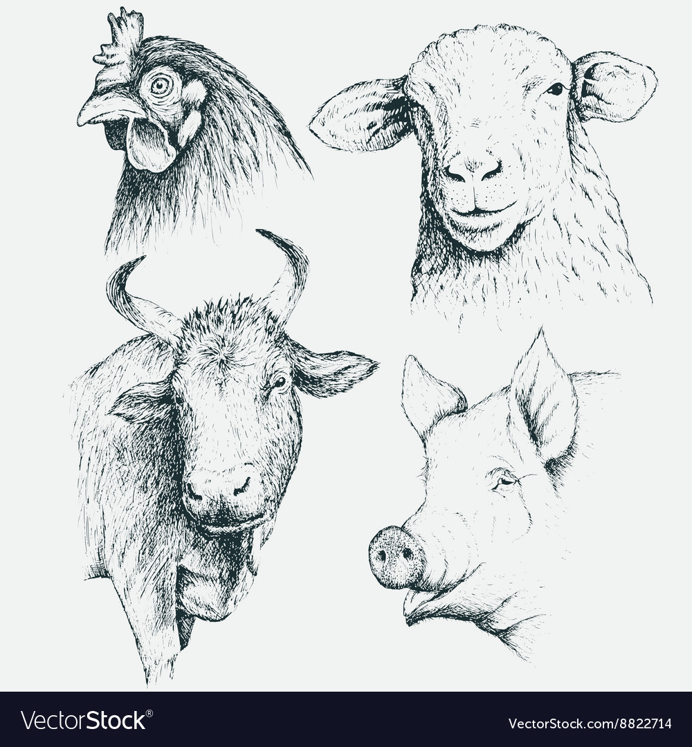 Set farm animals Royalty Free Vector Image - VectorStock