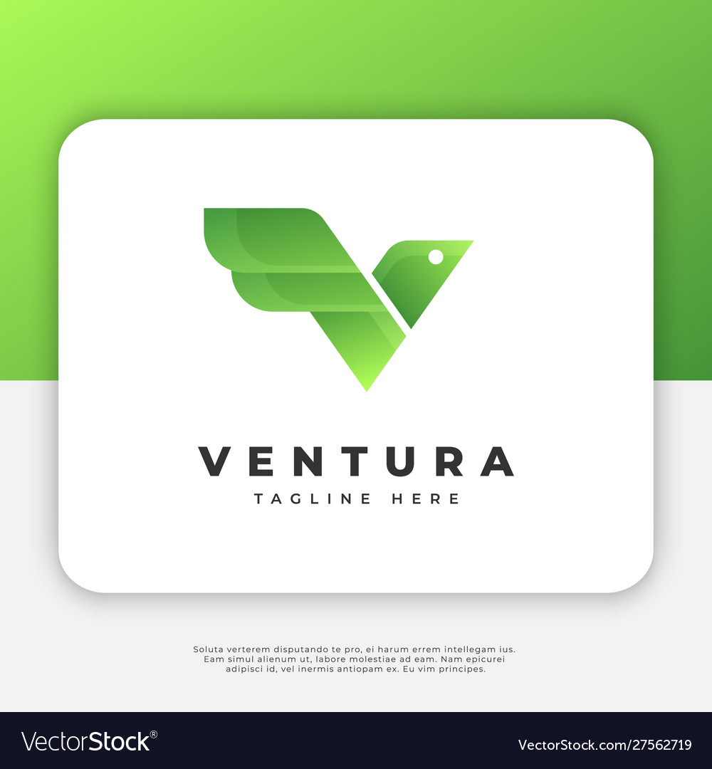 Bird with initial v logo design inspiration vector image Bird with initial v logo design inspiration