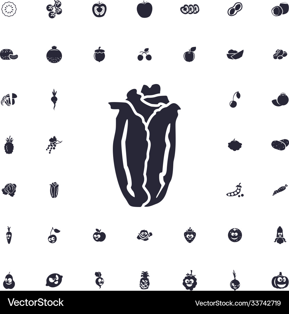 Cabbage icon Royalty Free Vector Image - VectorStock