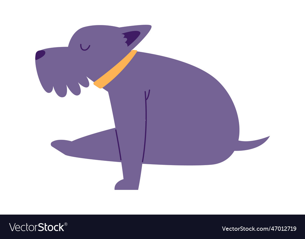 Dog doing yoga Royalty Free Vector Image - VectorStock