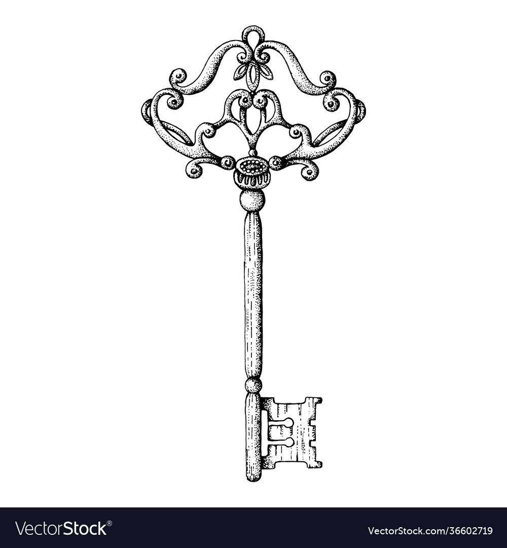 Old key black and white Royalty Free Vector Image