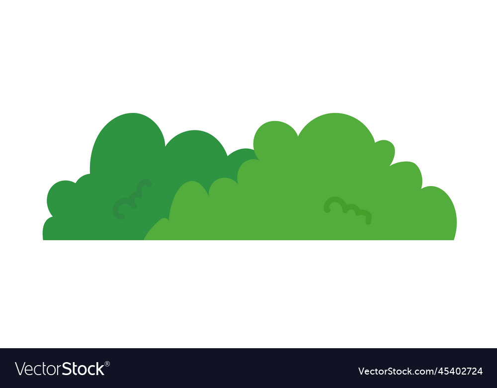 Natural green grass bushes decorate environmental Vector Image