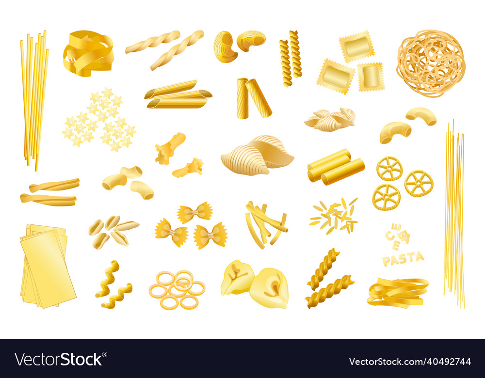 Pasta types spaghetti and orso set Royalty Free Vector Image