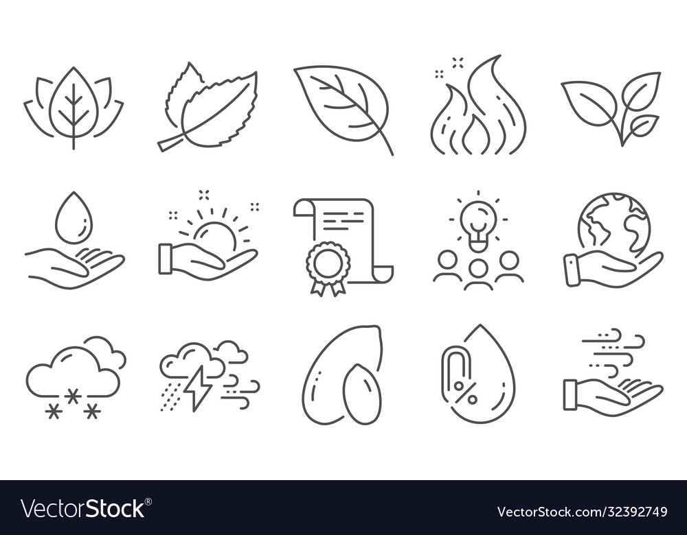 Set nature icons such as peanut leaves Royalty Free Vector