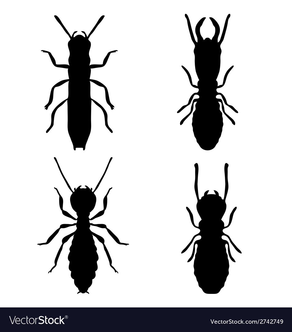 Featured image of post Vector Termite Logo Royalty free predesigned termite vector clipart illustrations