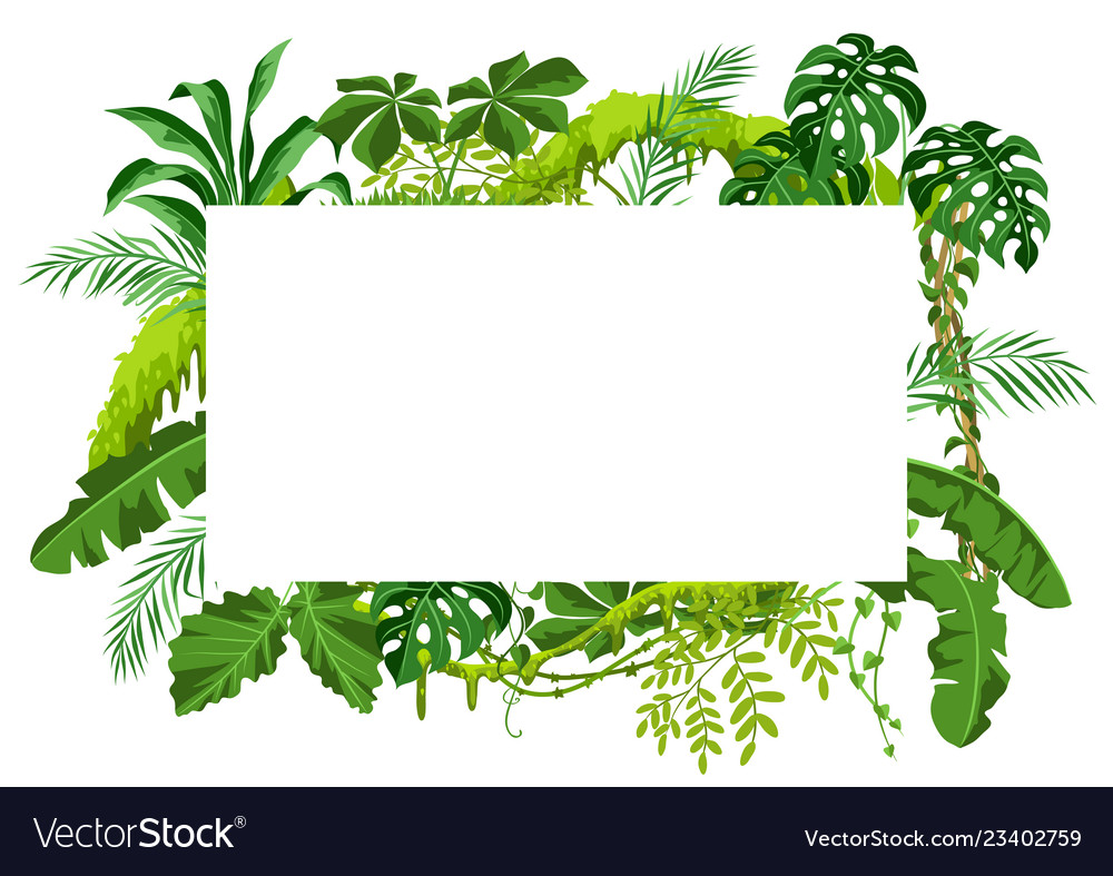 Background with jungle plants Royalty Free Vector Image