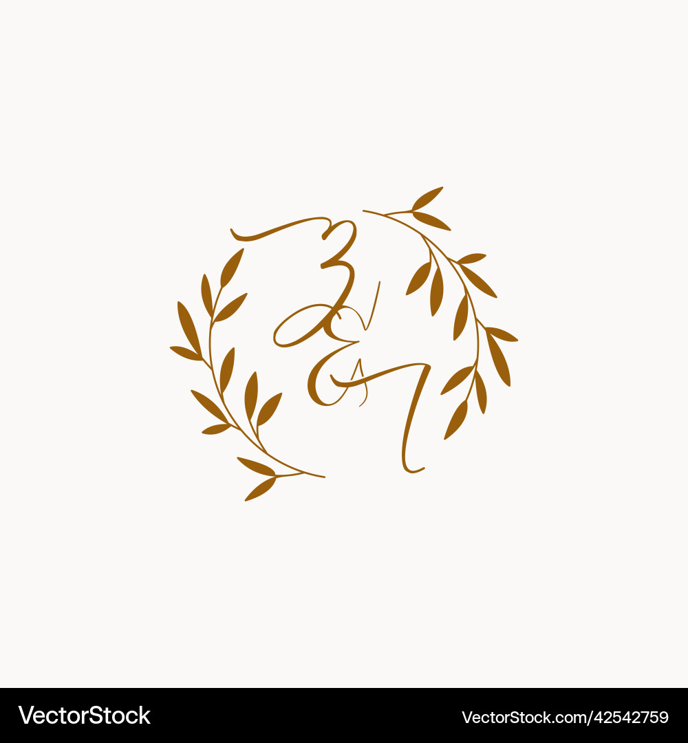 Zi initial wedding monogram logo Royalty Free Vector Image