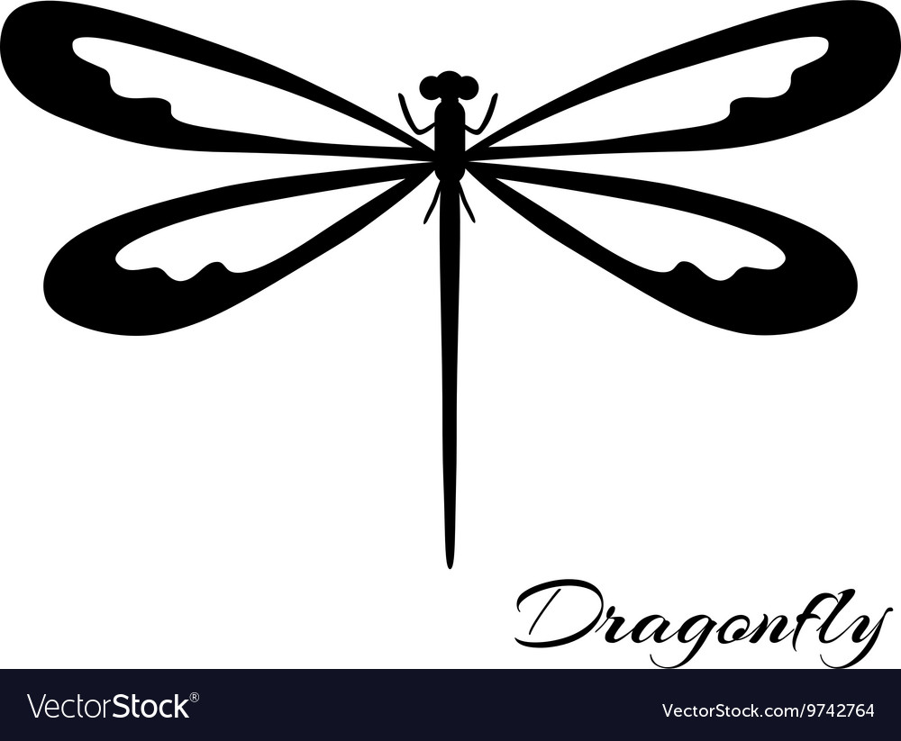 dragonfly black and white