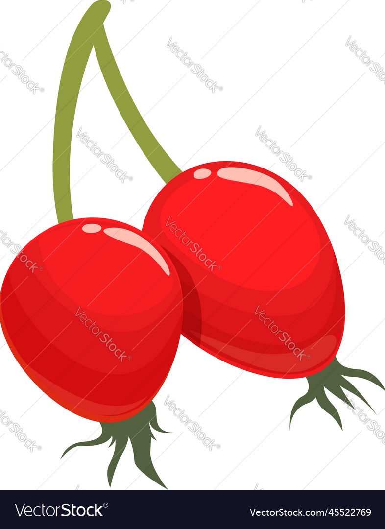 Autumn rosehip icon cartoon berry food Royalty Free Vector