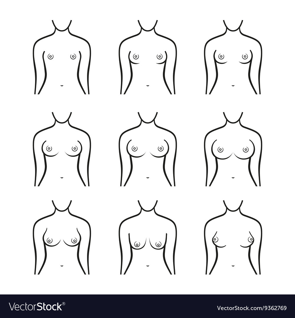 Set of contour round icons of different female breast size, body 3435694  Vector Art at Vecteezy