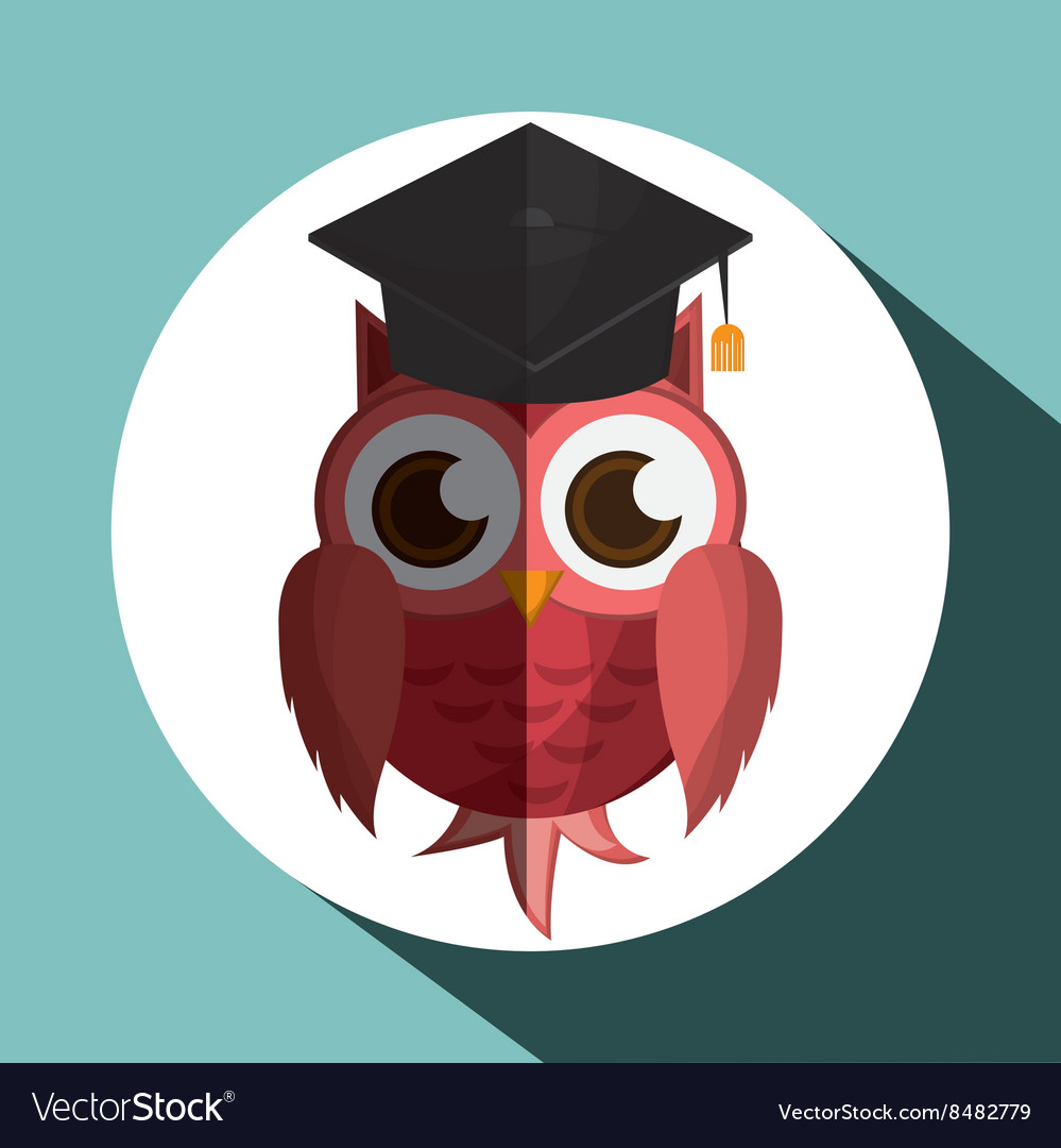 An owl graphic design Royalty Free Vector Image