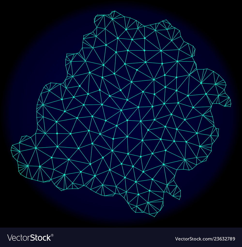 Polygonal carcass mesh abstract map of lodz