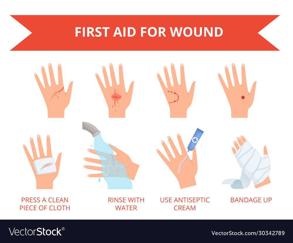 Wound skin treatment first emergency help Vector Image