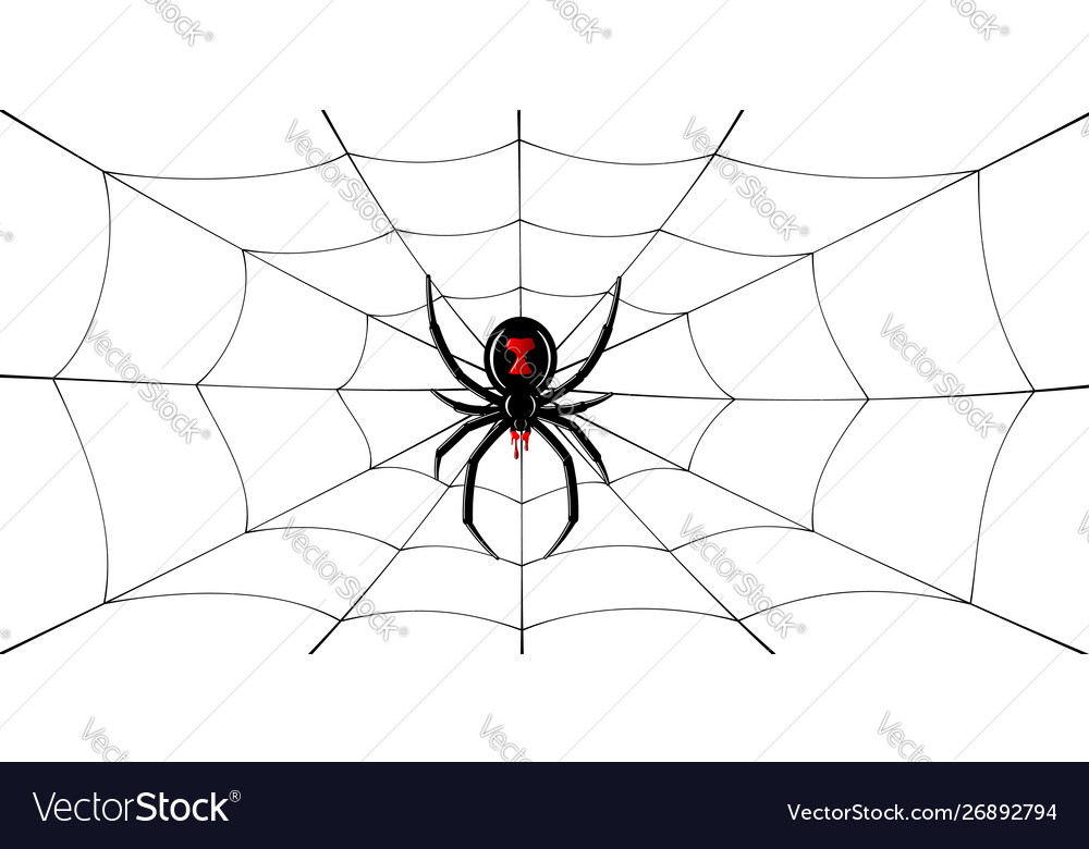 Spider black widow cobweb red black 3d Royalty Free Vector