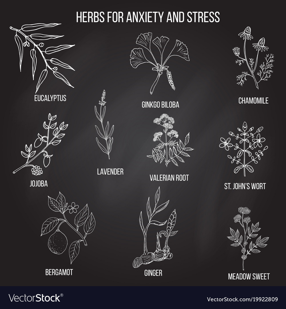 Anxiety treatment herbs collection