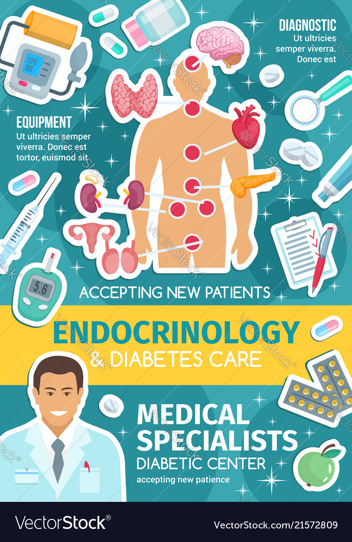 Endocrinology Medical Poster With Endocrine System