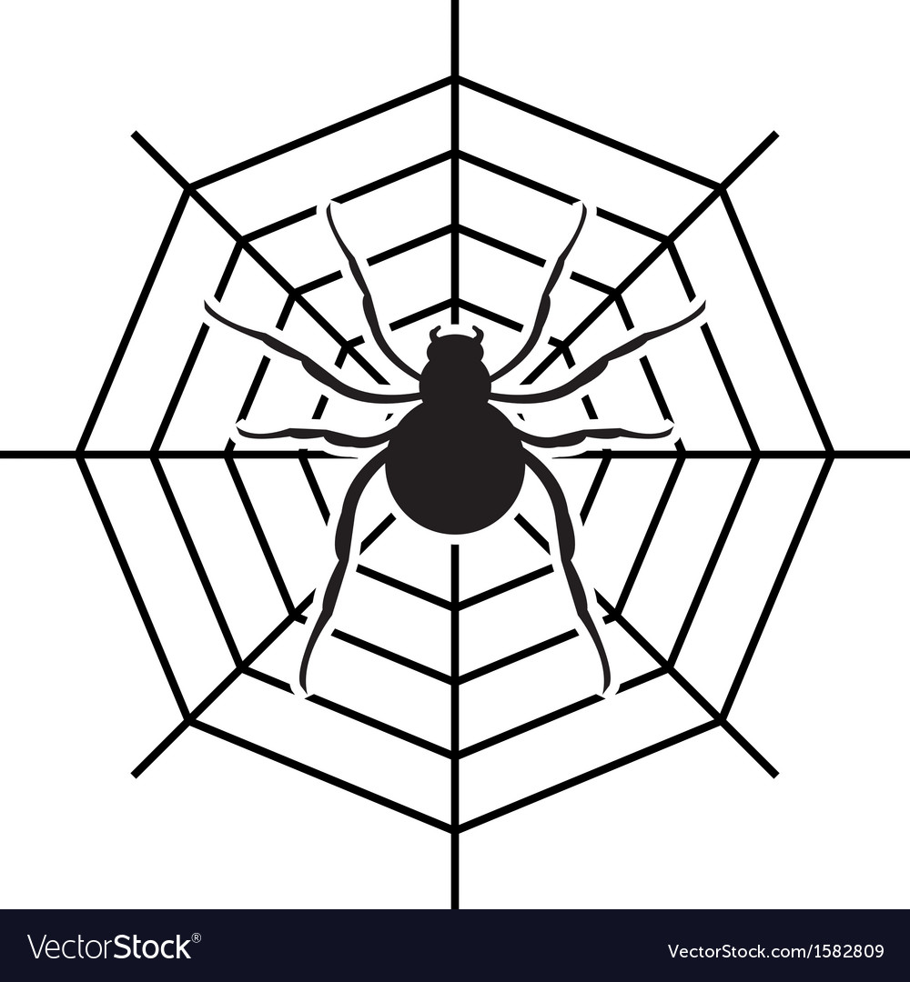 Symmetrical spider web icon, outline style Stock Vector Image & Art - Alamy