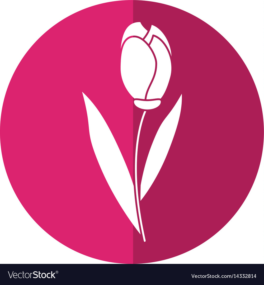 Tulip leaf natural floral shadow Royalty Free Vector Image