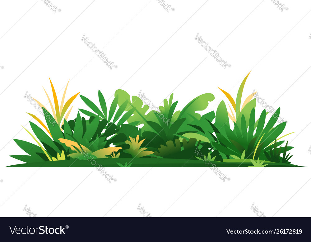 jungle plants vector