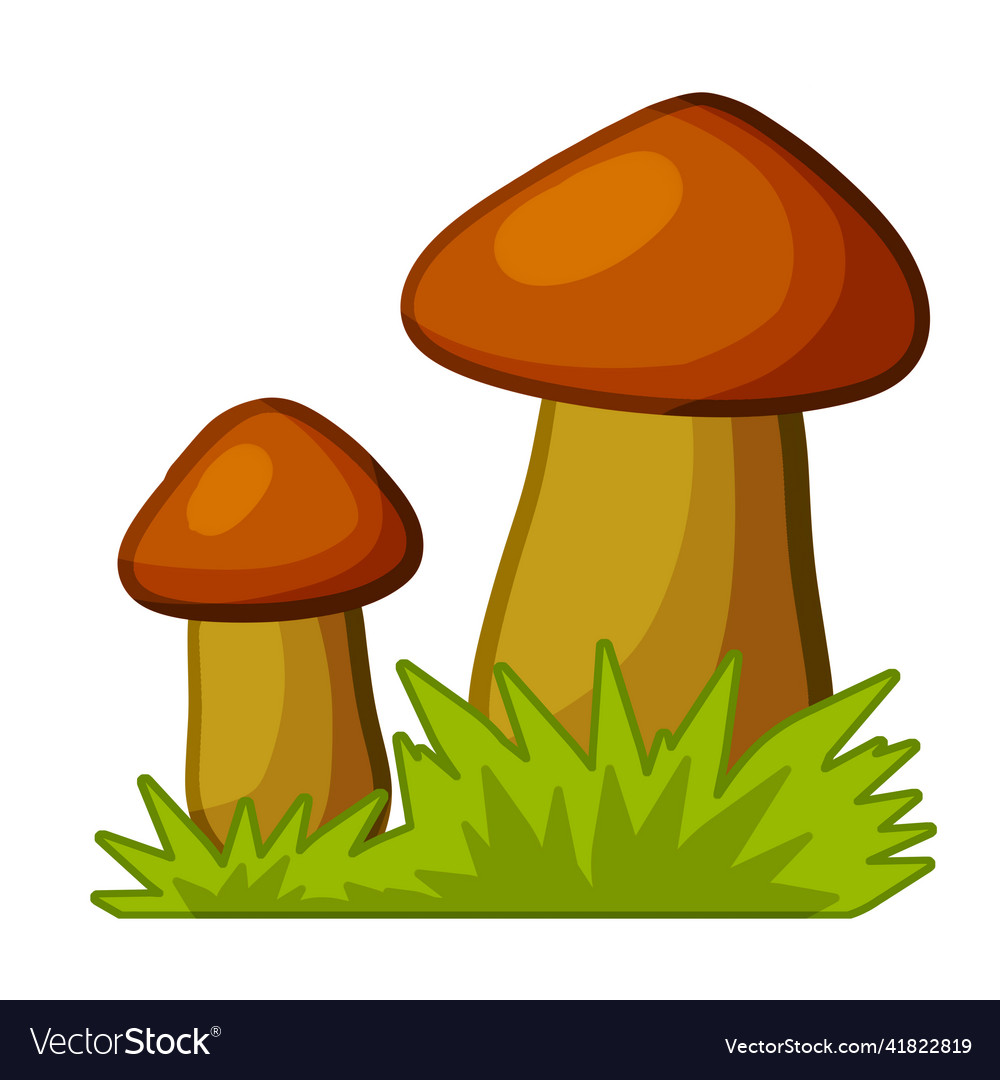 Mushrooms autumn element of forest Royalty Free Vector Image