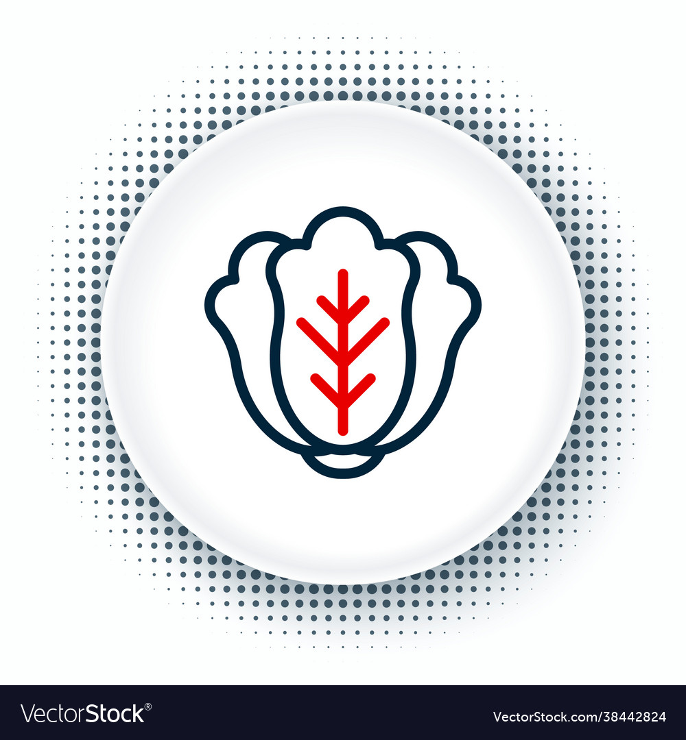 Line Fresh Cabbage Vegetable Icon Isolated Vector Image Line Fresh Cabbage Vegetable Icon Isolated Vector Image