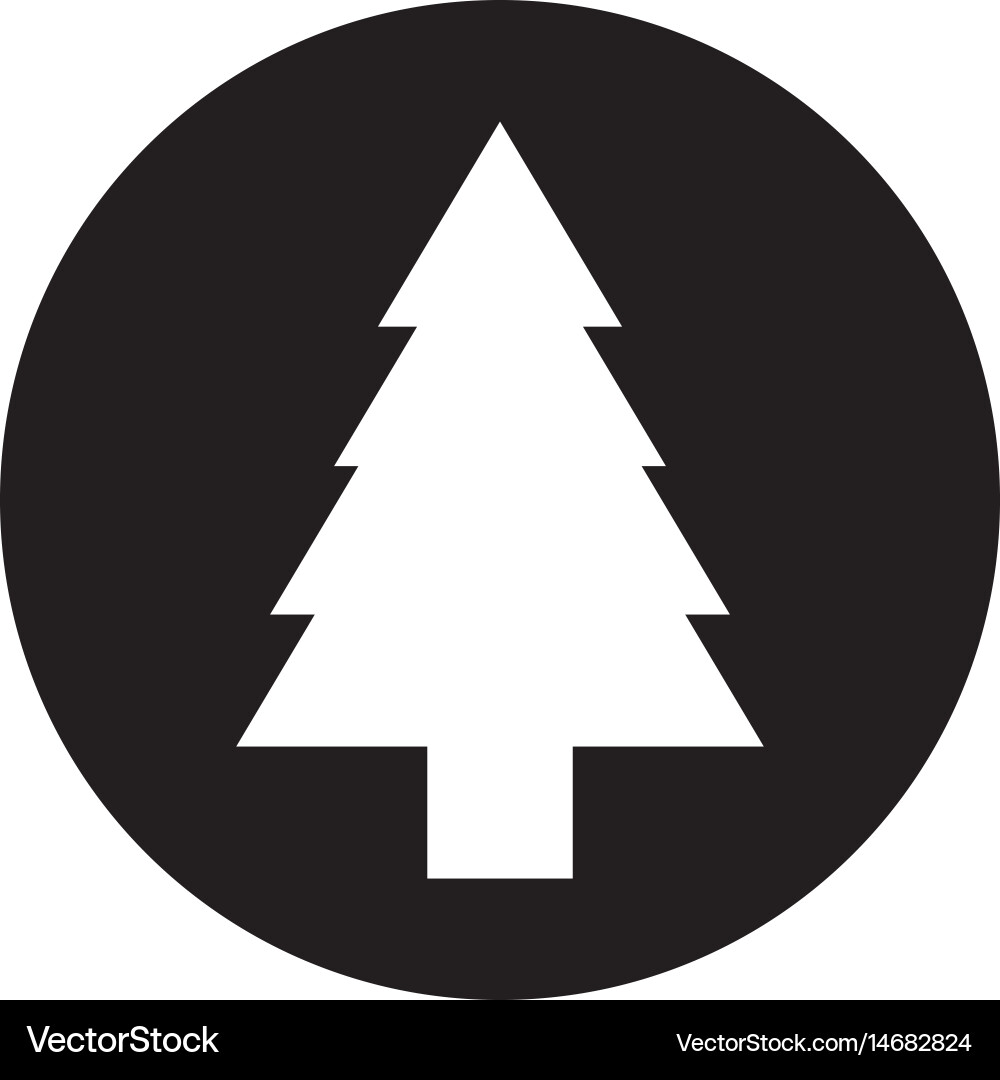 Pine tree isolated icon Royalty Free Vector Image