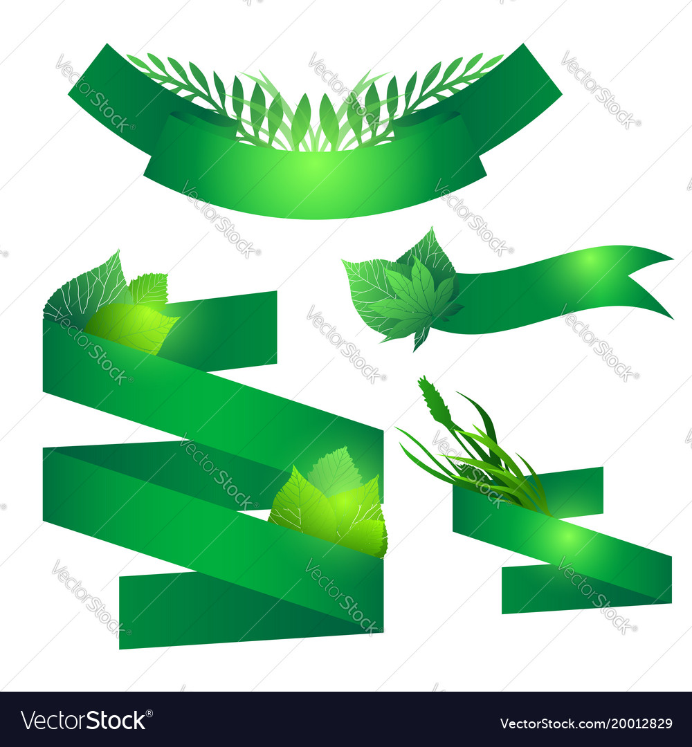 Set green ribbons with leaves element for your Vector Image