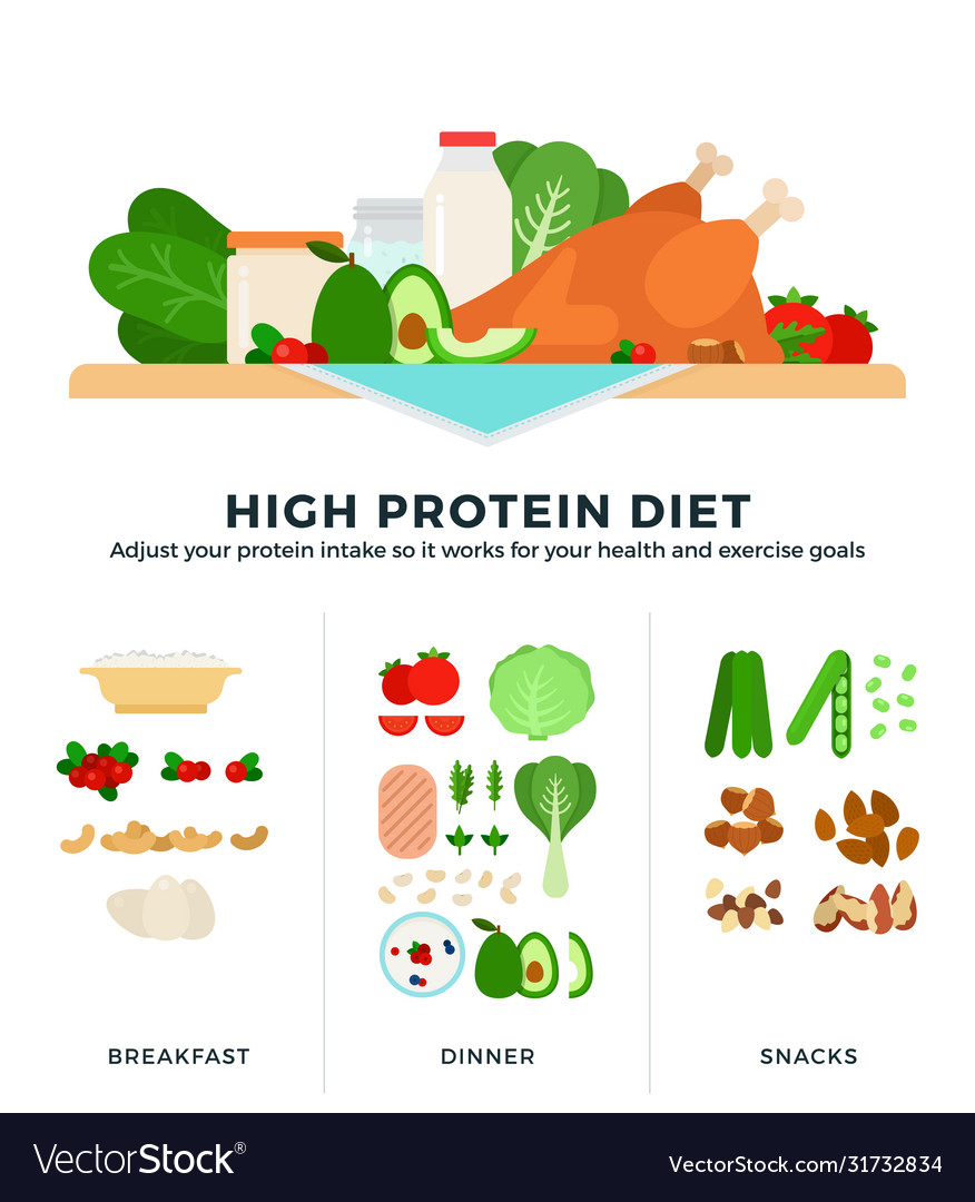 High protein diet in flat Royalty Free Vector Image