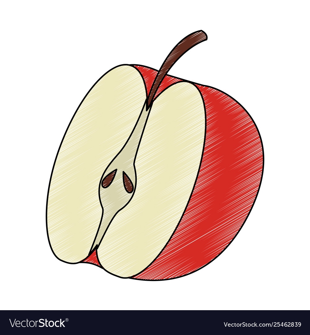 Apple half cut scribble Royalty Free Vector Image