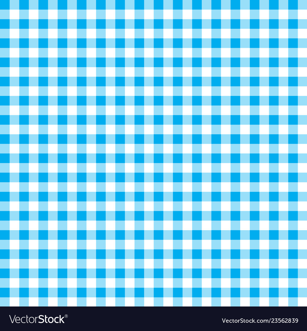 Firebrick gingham pattern textured blue and white Vector Image