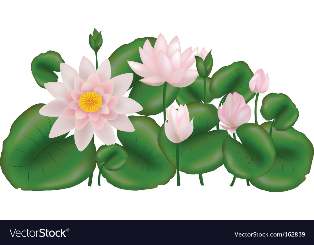 Floral design Royalty Free Vector Image - VectorStock